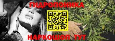 шишки Гусев