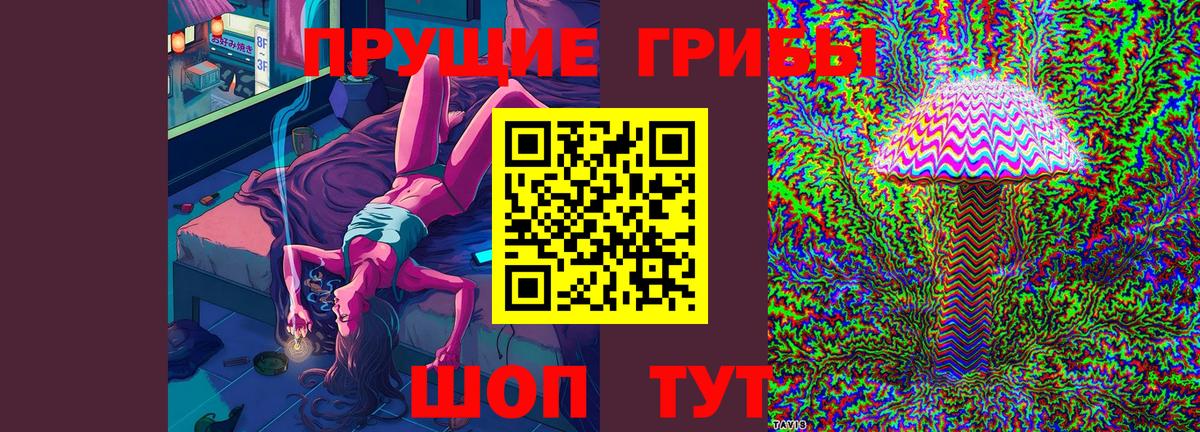 Псилоцибиновые грибы мицелий Борзя