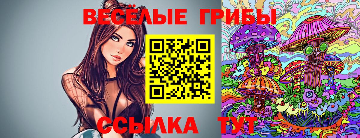 Галлюциногенные грибы прущие грибы  Вход с VPN  Борзя  Псилоцибиновые грибы GOLDEN TEACHER 