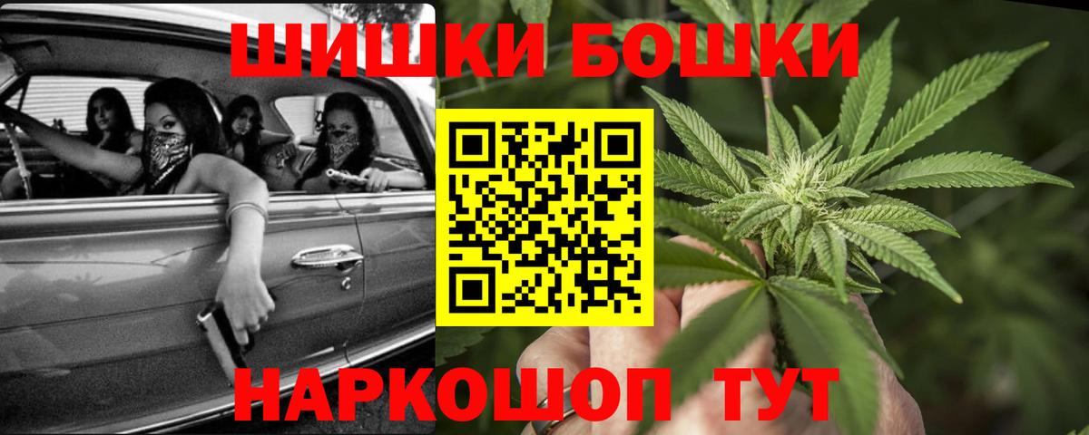 Бошки Шишки MAZAR Борзя